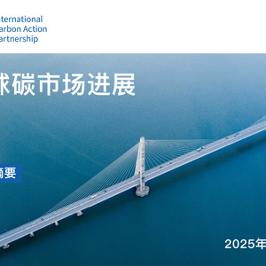 2025年全球碳市場(chǎng)進(jìn)展報(bào)告
