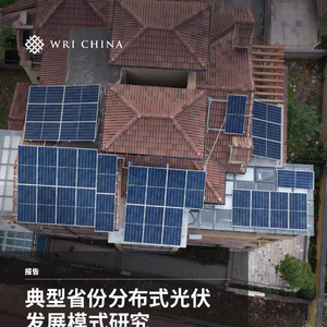 2025年典型省份分布式光伏發(fā)展模式研究報告