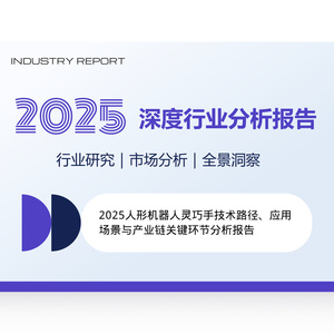 2025年人形機器人靈巧手技術(shù)與應用研究報告