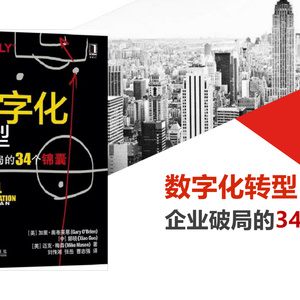 2025年企業(yè)數(shù)字化轉(zhuǎn)型實(shí)戰(zhàn)指南