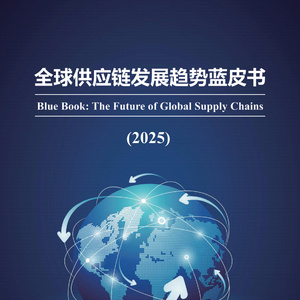 2025年全球供應鏈發(fā)展趨勢藍皮書
