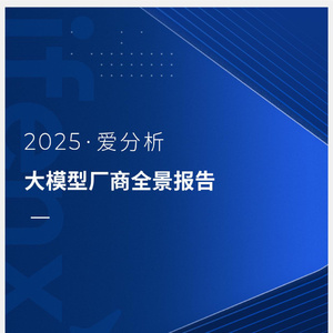 2025年大模型廠商全景報告