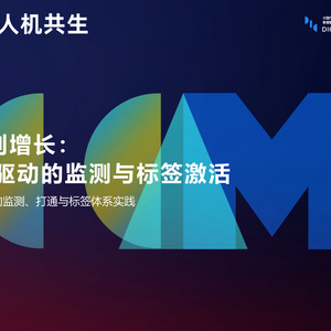 2025年營銷監(jiān)測與標(biāo)簽激活報告