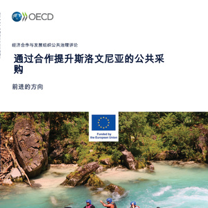 2025年斯洛文尼亞公共采購研究報(bào)告