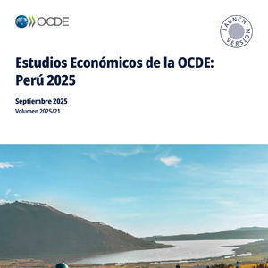 2025年秘魯經(jīng)濟(jì)形勢(shì)研究報(bào)告