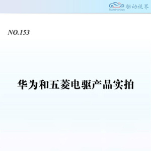 2025年電驅(qū)系統(tǒng)技術(shù)實(shí)拍報(bào)告