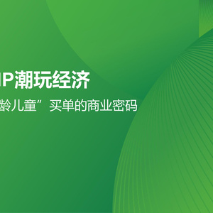 2025年IP潮玩經(jīng)濟研究報告