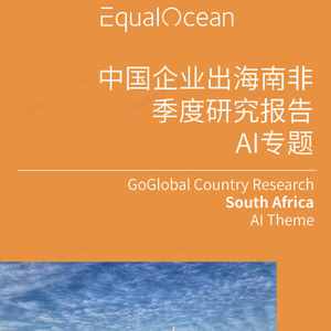 2025年中國AI企業(yè)出海研究：南非篇