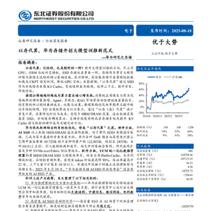 2025年電子行業(yè)華為存儲(chǔ)研究報(bào)告