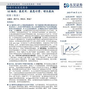 2025年AI編程行業(yè)深度報告