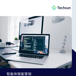 2025年智能體賦能營(yíng)銷技術(shù)白皮書