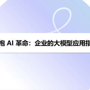 2025年企業(yè)大模型應(yīng)用指南