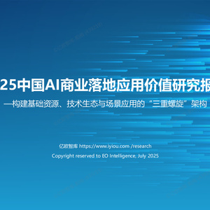 2025年中國AI商業(yè)落地應用價值研究報告