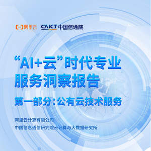 2025年公有云技術(shù)服務(wù)洞察報(bào)告
