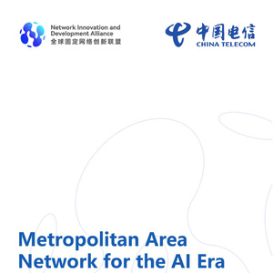 2025年人工智能時(shí)代城域網(wǎng)絡(luò)報(bào)告