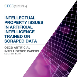 2025年人工智能訓(xùn)練數(shù)據(jù)知識產(chǎn)權(quán)研究報(bào)告