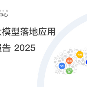 2025年中國大模型落地應(yīng)用研究報(bào)告
