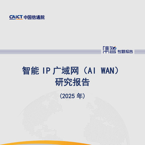 2025年智能IP廣域網(wǎng)AIWAN研究報告