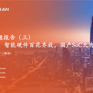 2025年AIoT端側(cè)智能硬件研究報告