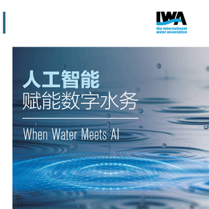 2025年人工智能賦能數(shù)字水務(wù)白皮書