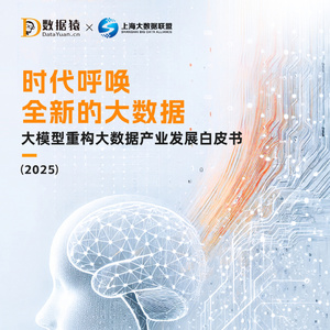 2025年大數(shù)據(jù)與大模型融合白皮書