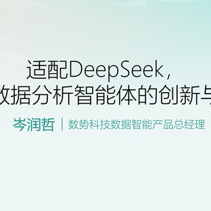 2025年金融數(shù)據(jù)分析智能體報告