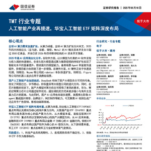 2025年人工智能產(chǎn)業(yè)研究報告