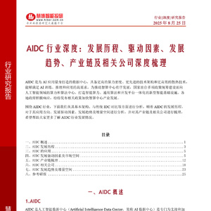 2025年AIDC行業(yè)深度研究報(bào)告