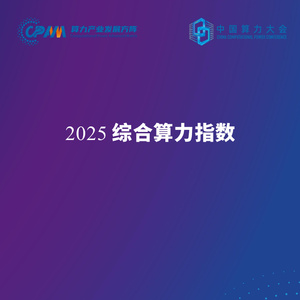2025年綜合算力指數(shù)報告