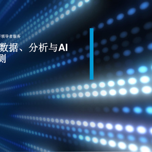 2024~2030年數(shù)據(jù)、分析與AI預測報告
