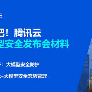 2025年大模型安全防護(hù)研究報(bào)告