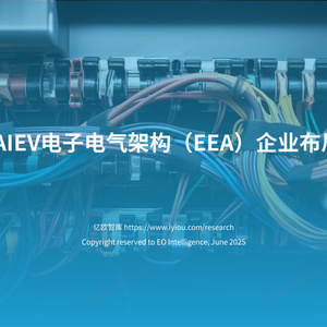 2025年中國AIEV電子電氣架構(gòu)企業(yè)布局洞察報告