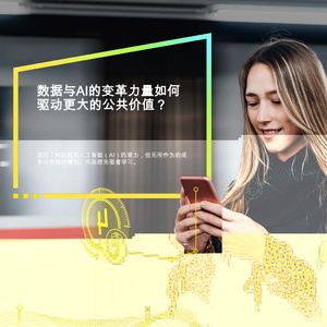 2025年政府與公共部門AI研究報告