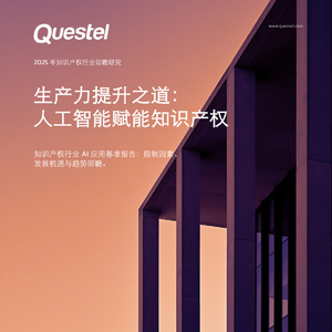 2025年知識產(chǎn)權(quán)行業(yè)AI應(yīng)用研究報告