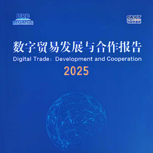 2025年數(shù)字貿(mào)易發(fā)展與合作報告
