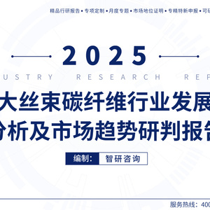 2025年中國大絲束碳纖維行業(yè)研究報告
