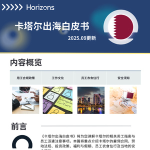 2025年卡塔爾出海白皮書