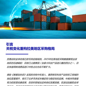 2025年拉丁美洲采购趋势白皮书