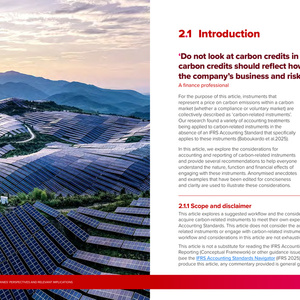 2025年碳相关工具会计处理指南