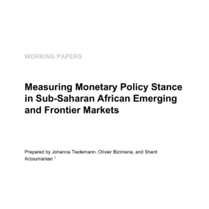 2025年撒哈拉以南非洲货币政策研究报告