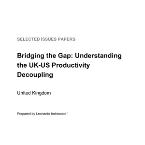 2025年英美生产率脱钩研究报告