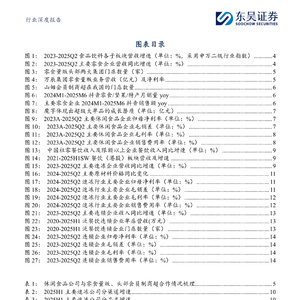 2025年食品饮料行业中期报告