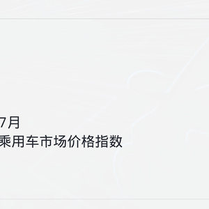 2025年7月乘用车价格指数报告