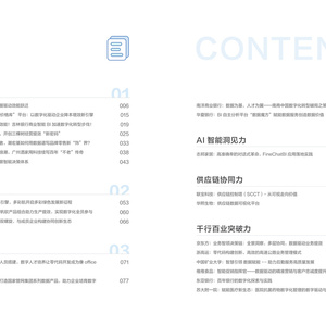 2025年数智领导力案例研究报告