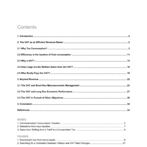 2025年增值税效率研究报告