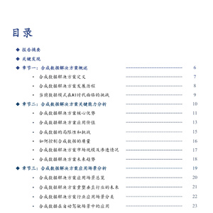 2025年中国合成数据解决方案发展洞察