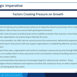2024年管理检测与响应市场报告