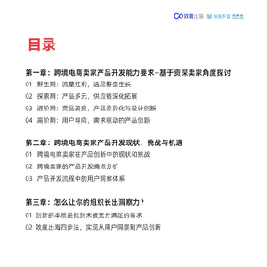 2024年跨境电商产品创新白皮书