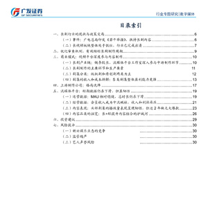 2025年数字媒体行业文艺复兴报告