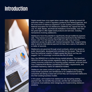 2025年稳定币与传统金融融合研究报告